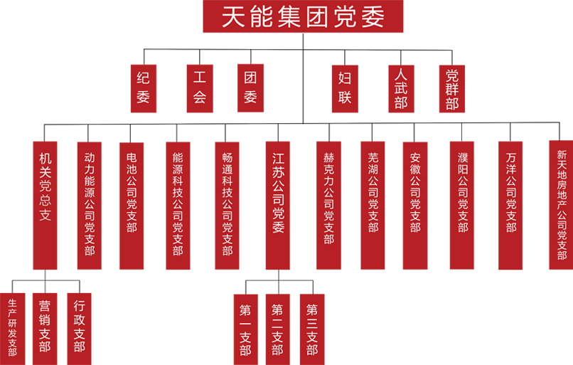 不朽情缘建团党委组织架构